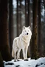 Placeholder: Giant White wolf standing in a forest, snow covering the ground