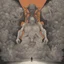 Placeholder: god of fear and the unknown