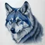 Placeholder: Drawing of wolf with silver and dark blue fur