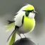 Placeholder: A cute yellow head, white belly, black and green wings bird, avatar