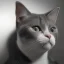 Placeholder: Portrait of cat realistic