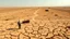 Placeholder: Climate emergency. An expansive farmland turned barren desert, with deep cracks running through the dry, dusty soil. Crops lie dead and withered, and abandoned farming equipment rusts in the harsh sun. A lone farmer stands in despair, looking at the parched earth. Beautiful award-winning photograph, shocking, balanced delightful composition, perfect lighting, superb detail, 16k render