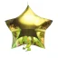 Placeholder: High resolution photograph of a inflated green star foil balloon