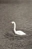 Placeholder: Swan in a lake by M.C.Escher