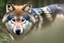 Placeholder: wolf in a forest, real image, real photograph, photograph taken with a canon camera and an 18-125 zoom lens