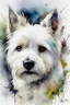 Placeholder: Portrait of a White West highland terrier dog with gentle expression in loose abstract watercolour, wet on wet, and splattering in the style of Agnes Cecile, Willem Haenraets, on rough, textured paper. Muted colours.