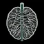 Placeholder: Lungs, Logo, 4k, high resolution