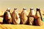 Placeholder: Four Arab sheikhs sitting in the desert wearing typical Arab dress, looking towards the four cardinal points. A talll fat european man in business suit wathcing them while thinking.