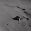 Placeholder: turtle on the moon