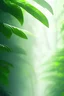 Placeholder: Rainforest Canopy, smooth gradient color transition, evoking serenity. Background photography, close-up, blurred effect, gradient harmony, visual tranquility, airy lightness, gentle shifts, minimalist appeal