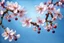 Placeholder: fantastic light pin blue background with four bunches of cherry blossoms