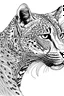 Placeholder: cheetah , coloring book, 2D, hand drawing, white background, clear black lines