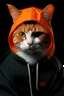 Placeholder: orange eminem cat