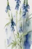 Placeholder: wet watercolour, blue green grey stalks delphiniums,