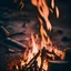 Placeholder: a campfire, peaceful, Macro shot, adobe lightroom cinematic filter,