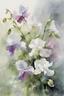 Placeholder: watercolor painting, by Richard Schmid, ((best quality)), ((masterpiece)), ((realistic, digital art)), (hyper detaile), watercolor painting, Masterpiece, intricate details, Willem Haenraets style, intricate details, sweet pea flowers, white background, vivid coloring, some splashes