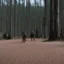 Placeholder: The Yalu Brick Road [MASH S8.E10] Hawkeye and BJ get lost in enemy territory while Klinger's Thanksgiving turkey sickens most of the camp with salmonella.