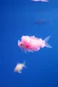 Placeholder: A pink plastic cloud floating in the fish