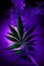 Placeholder: purple haze strain weed artwork