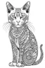 Placeholder: coloring image of cat white background