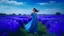 Placeholder: A serene scene of a woman in a flowy blue dress, standing in a field of vibrant blue flowers under a clear summer sky, the air filled with the scent of blooming lavender and jasmine, capturing a moment of pure euphoria.