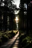 Placeholder: very dark forest