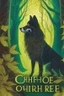 Placeholder: book cover, In the heart of a dense and enigmatic forest with towering ancient trees cloaked in emerald, yellow and amber foliage stood a witch possessing an ethereal allure her lustrous hair cascading in ebony waves down to her slender waist In the background a majestic canine of Belgian shepherd lineage roamed its eyes illuminated by an otherworldly crimson