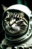 Placeholder: The cosmonaut cat