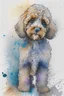 Placeholder: Abstract wet watercolour of a cockapoo, ink lines, splashy background detailed,focus on eyes, watercolour paper