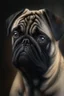 Placeholder: a serious looking old pug dog, super realistic ,8k quality