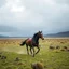 Placeholder: Horse running in themiddle of a storm