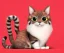 Placeholder: cute cat illustration isolated