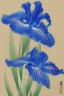 Placeholder: a Japanese painting of a blue iris by artist "Hiroshi Kobayashi"