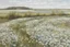 Placeholder: Spring Meadow Painting | Vintage Landscape