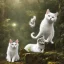 Placeholder: a black cat playing with a white cat in the forest