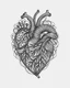 Placeholder: realistic Tattooed heart idea, line art, background, vector, svg, black outline on white background, leave plenty of white space beetween lines for coloring, tattoo style, tattoo idea,full body, minimalist