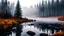 Placeholder: scenery of an autumn fir forrest with fog,