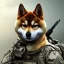 Placeholder: shiba inu US army soldier