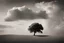 Placeholder: Very small single tree, magnificent cloudy sky, ray light, distant view, distant photo, conceptual photo, art photo, illusion, fine art, surrealism, black and white