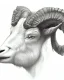 Placeholder: head of a goat drawn in pencil