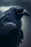 Placeholder: storm crow, 4 k, trending art, depth of field, high detail, high contrast