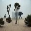 Placeholder: Fotografia di una scena surreale e concettuale, un'installazione. Alberi. Al centro si vede un elemento trasparente. La superficie sottostante è sabbiosa, con piccole dune o accumuli di sabbia. Sullo sfondo si intravedono altre forme o strutture, alcune delle quali scure e dall'aspetto meccanico, hasselblad h6d400c, buio, molto nitido, scarsamente illuminato, forte senso di ambiguità