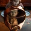 Placeholder: The reflection of a child on the surface of an old copper teapot