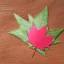 Placeholder: turtle and maple leaf and pink sky