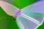 Placeholder: beautiful fairy very etheric , delicate colors, transparent wings, ultra sharp focus, 8k