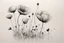Placeholder: Minimalist ink pencil and charcoal drawing of poppies
