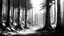 Placeholder: dense forest sketch