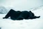 Placeholder: in distance side a wiev a figure in dark clothes and long black leather coat lies on his back in the snow in a winter landscape, alone, white snow, high contrast, cold, winter, mountains, white, blue, gray and black colors, cinematic, atmospheric, dark, gloomy, thriller vibe, crepy stunning