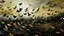 Placeholder: His brushstrokes danced on the canvas like a flock of frightened starlings, each a unique note in a visual symphony.