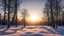 Placeholder: afternoon, sunset, snow, trees, sun, sky,